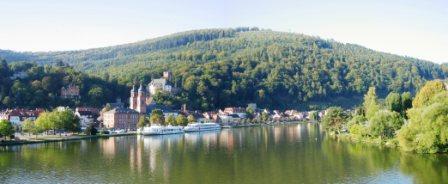 Miltenberg am Main Panorama